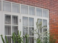 Kaktus Jadi Favorit Dekorasi Rumah: Cantik, Mudah Dirawat, dan Penuh Manfaat