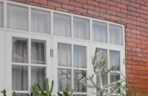 Kaktus Jadi Favorit Dekorasi Rumah: Cantik, Mudah Dirawat, dan Penuh Manfaat