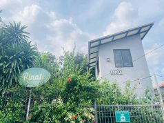 Pekarangan Rinati, Tongkrongan Coffee yang Menawarkan Nuansa Alam Sejuk di Tengah Sibuknya Ibu Kota